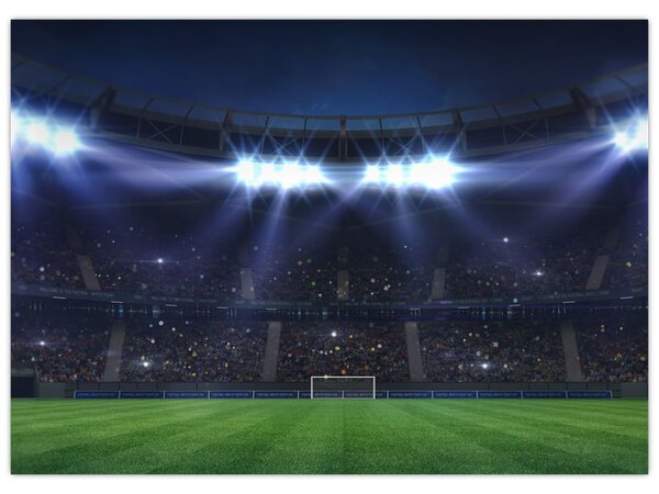 Tablou - Stadion de fotbal (70x50 cm)