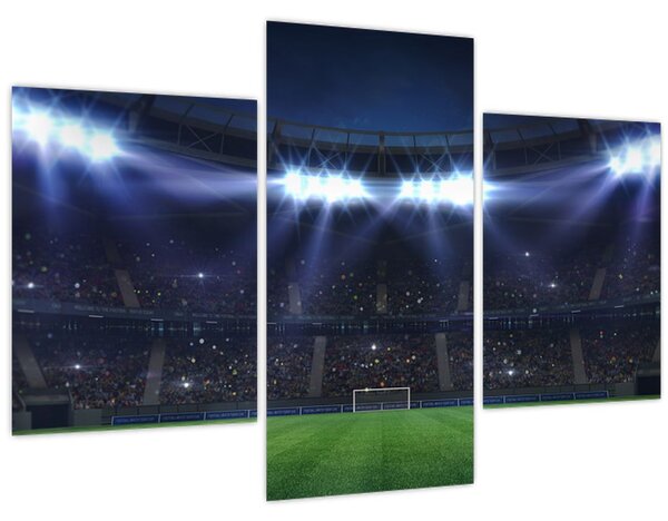 Tablou - Stadion de fotbal (90x60 cm)