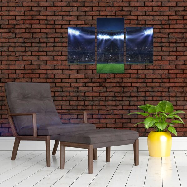 Tablou - Stadion de fotbal (90x60 cm)