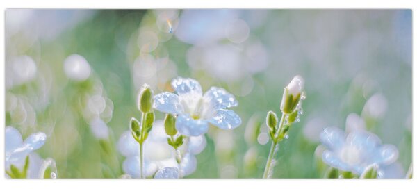 Tablou - Flori delicate (120x50 cm)