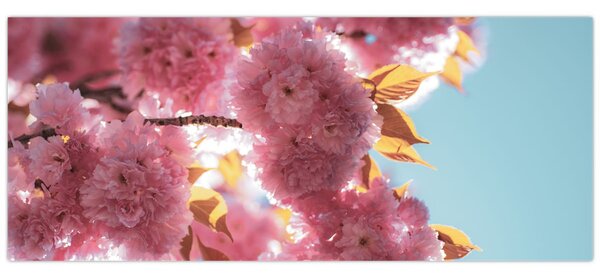 Tablou - Floare de cireș (120x50 cm)
