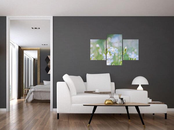 Tablou - Flori delicate (90x60 cm)