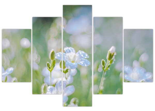 Tablou - Flori delicate (150x105 cm)