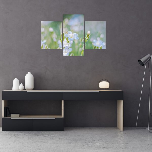 Tablou - Flori delicate (90x60 cm)