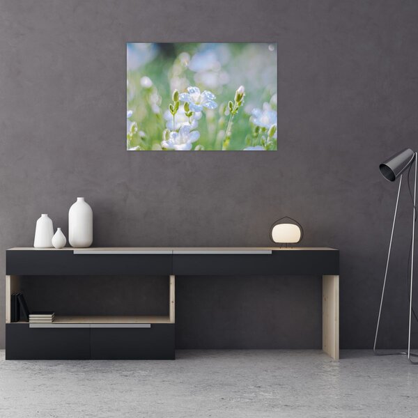 Tablou - Flori delicate (70x50 cm)