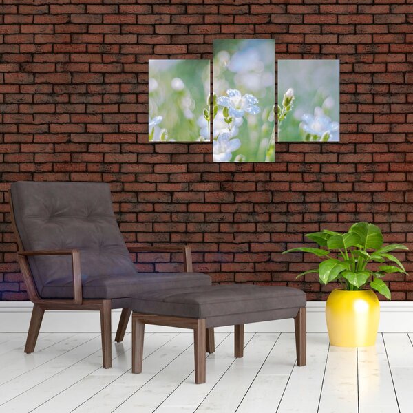 Tablou - Flori delicate (90x60 cm)