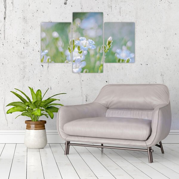 Tablou - Flori delicate (90x60 cm)