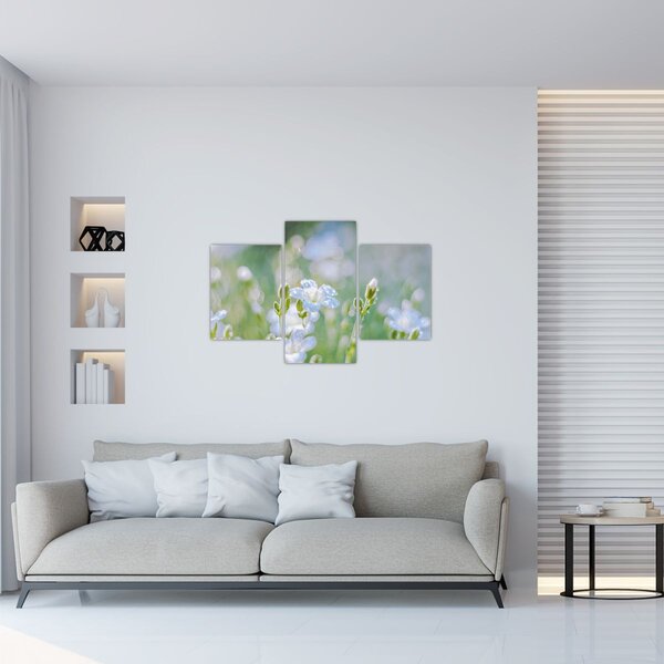 Tablou - Flori delicate (90x60 cm)