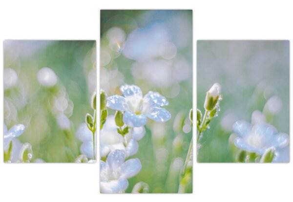 Tablou - Flori delicate (90x60 cm)