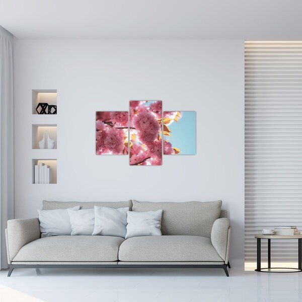 Tablou - Floare de cireș (90x60 cm)