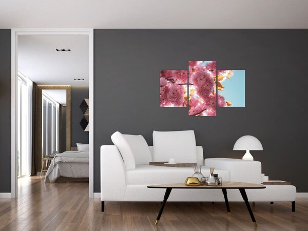 Tablou - Floare de cireș (90x60 cm)