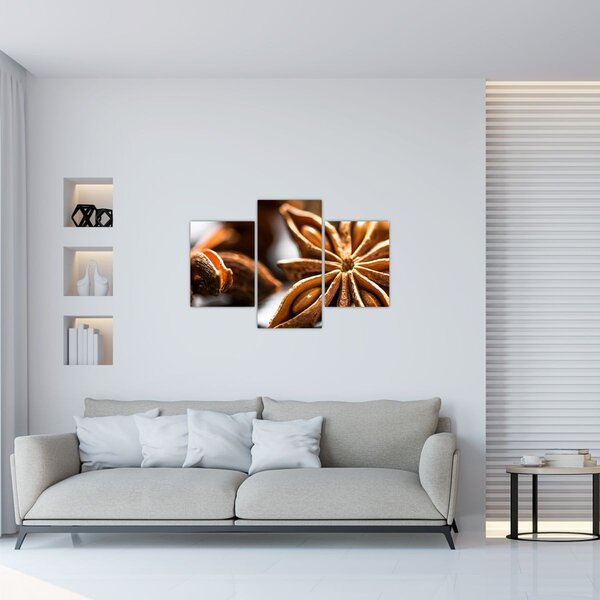 Tablou - Anason (90x60 cm)
