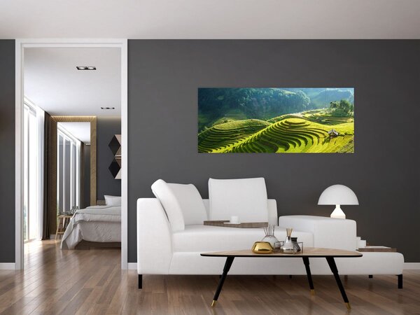 Tablou - Concert Terase de orez (120x50 cm)
