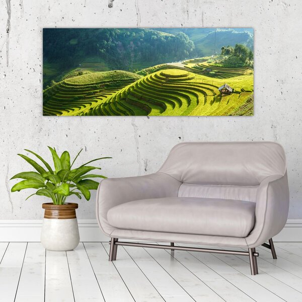 Tablou - Concert Terase de orez (120x50 cm)