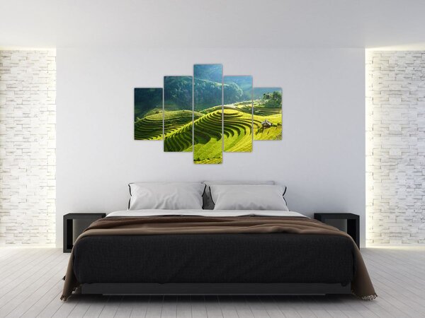 Tablou - Concert Terase de orez (150x105 cm)