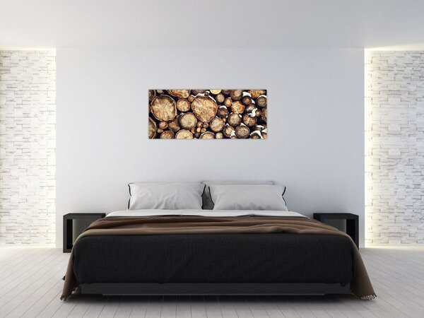 Tablou - Lemn în zăpadă (120x50 cm)