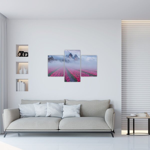 Tablou - Peisaj cu câmpuri de lalele (90x60 cm)