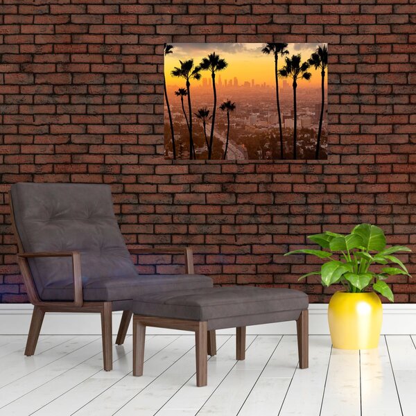Tablou - Panorama din Los Angeles (70x50 cm)