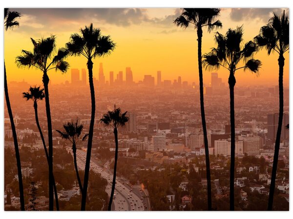 Tablou - Panorama din Los Angeles (70x50 cm)