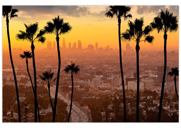 Tablou - Panorama din Los Angeles (90x60 cm)