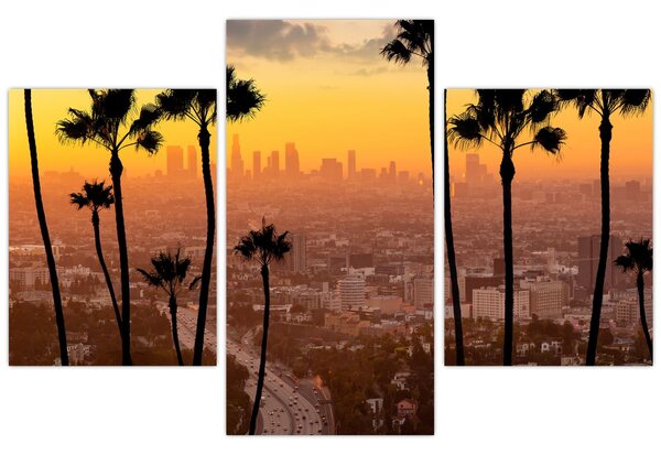 Tablou - Panorama din Los Angeles (90x60 cm)