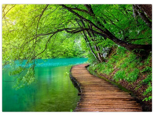 Tablou - Lacurile Plitvice (70x50 cm)