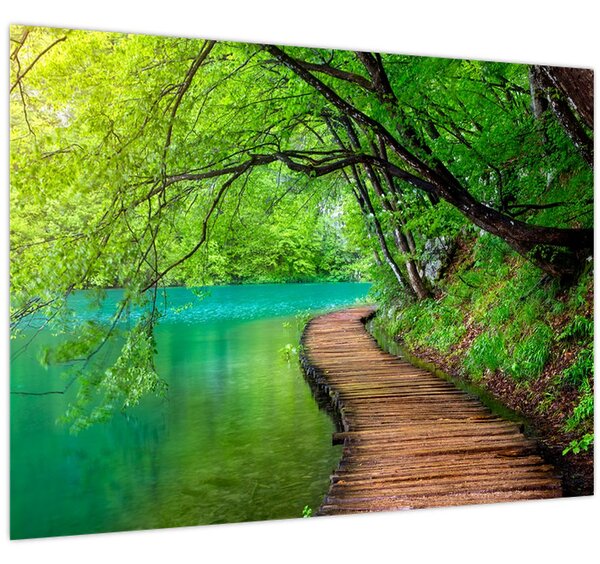 Tablou - Lacurile Plitvice (70x50 cm)