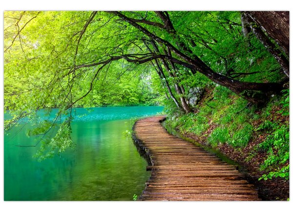 Tablou - Lacurile Plitvice (90x60 cm)