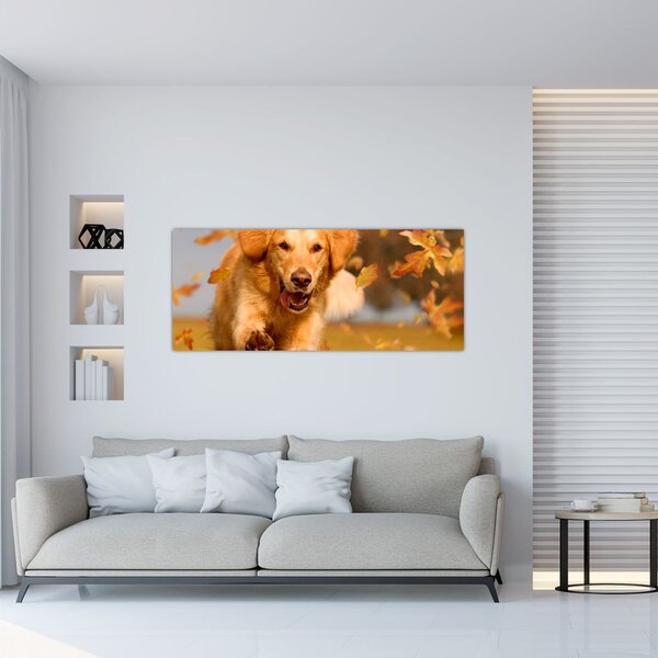 Tablou - Golden Retriever (120x50 cm)