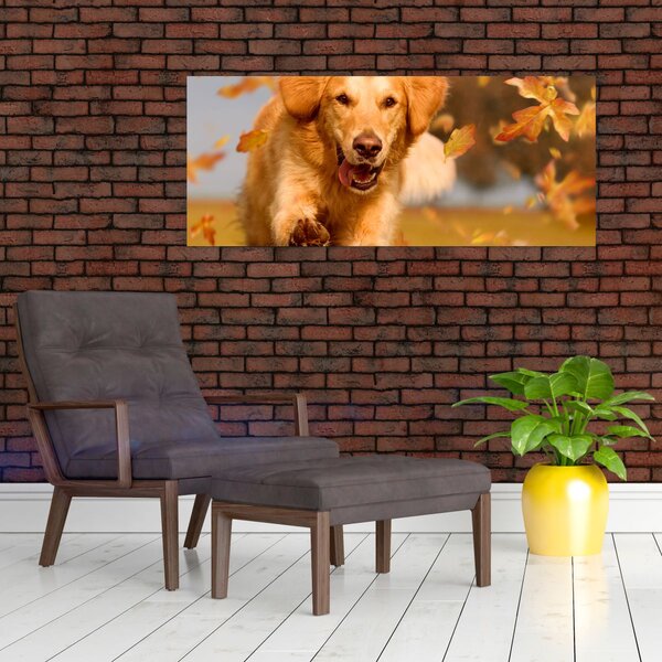 Tablou - Golden Retriever (120x50 cm)