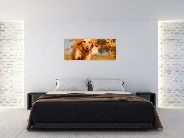 Tablou - Golden Retriever (120x50 cm)
