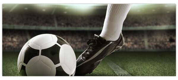 Tablou - Minge de fotbal (120x50 cm)