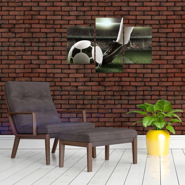 Tablou - Minge de fotbal (90x60 cm)