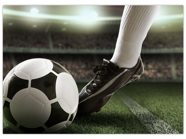 Tablou - Minge de fotbal (70x50 cm)