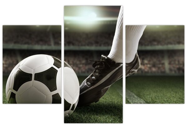 Tablou - Minge de fotbal (90x60 cm)
