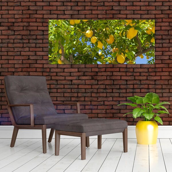 Tablou - Lămâiță (120x50 cm)
