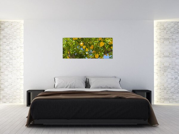 Tablou - Lămâiță (120x50 cm)
