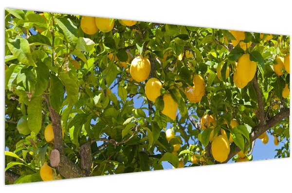 Tablou - Lămâiță (120x50 cm)