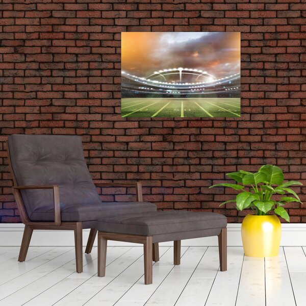Tablou - Stadion (70x50 cm)