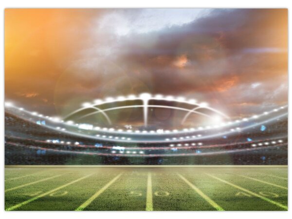 Tablou - Stadion (70x50 cm)