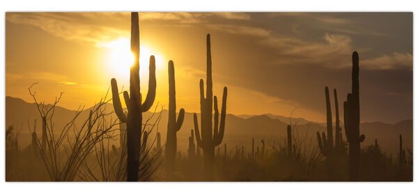 Tablou - Cactuși Saguaro (120x50 cm)