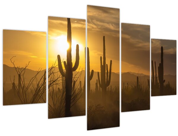 Tablou - Cactuși Saguaro (150x105 cm)