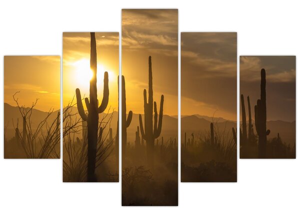 Tablou - Cactuși Saguaro (150x105 cm)