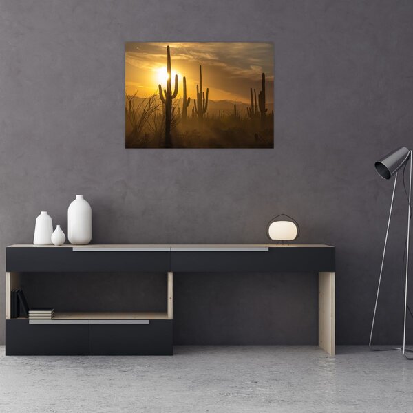 Tablou - Cactuși Saguaro (70x50 cm)