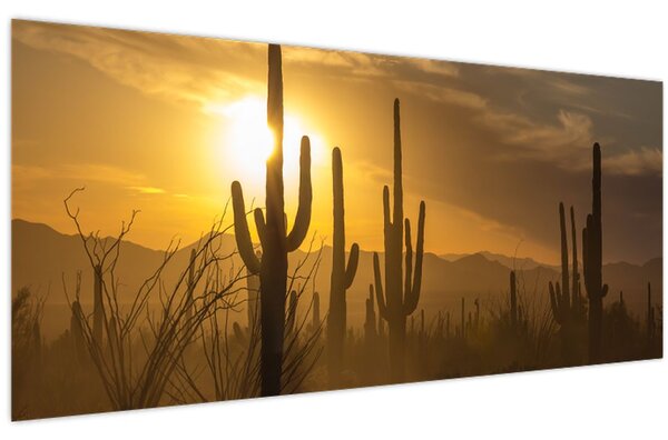 Tablou - Cactuși Saguaro (120x50 cm)