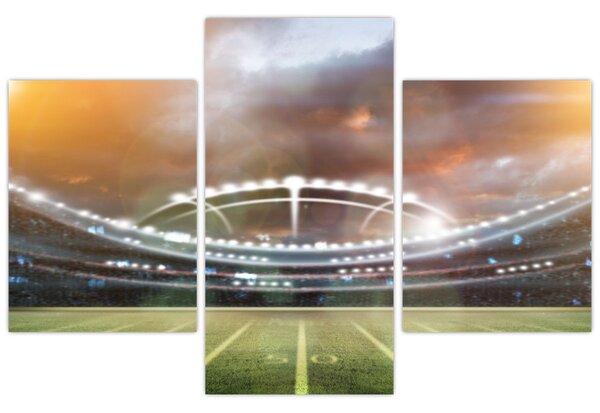 Tablou - Stadion (90x60 cm)
