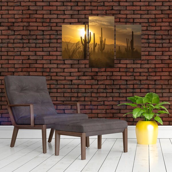 Tablou - Cactuși Saguaro (90x60 cm)