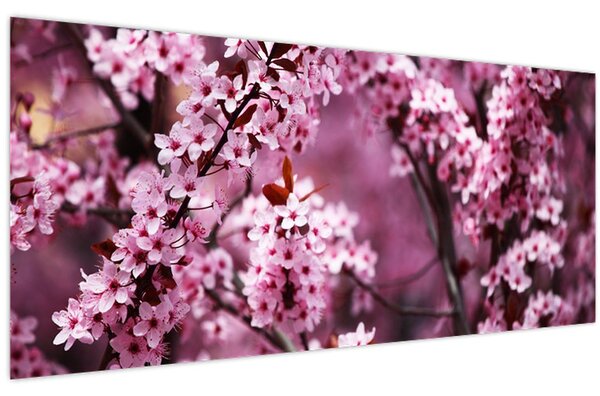 Tablou - Sakura roz (120x50 cm)