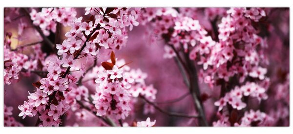 Tablou - Sakura roz (120x50 cm)