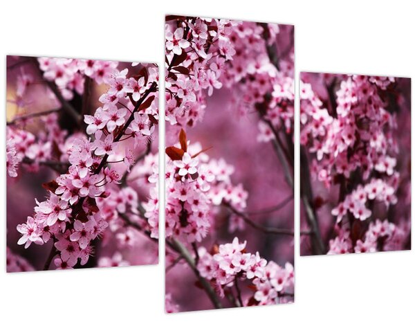Tablou - Sakura roz (90x60 cm)